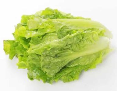 露台目前适合种什么菜种