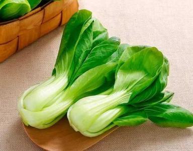 杭州适合种什么菜