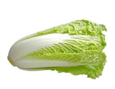 鄂西北适合种什么菜