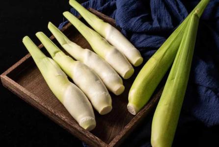 露天鱼塘适合种什么蔬菜