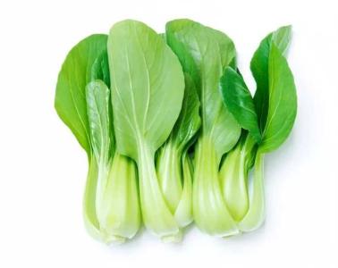 宜春春天适合种什么蔬菜
