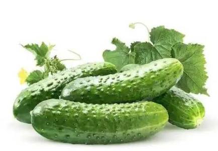 大棚夏季适合种什么蔬菜