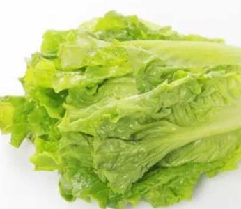 苏州春季适合种什么菜呢