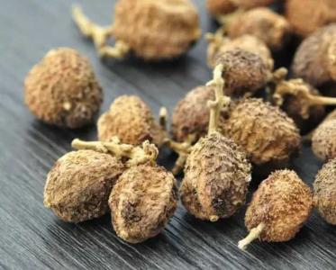 乐东适合种什么药材