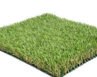屋顶绿化适合种什么植物