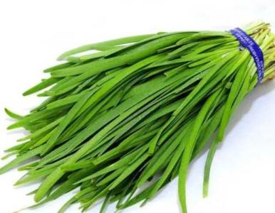 菲菜适合什么季节种