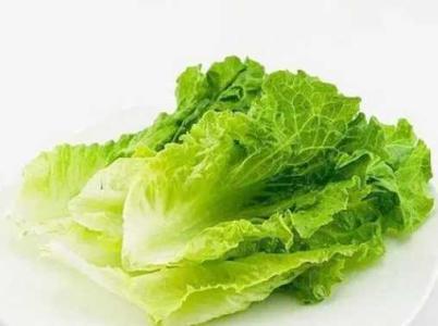 春季适合种什么小菜呢
