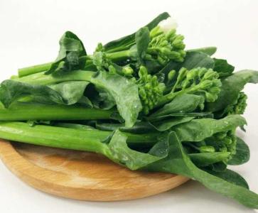 现在温度适合种什么菜苗