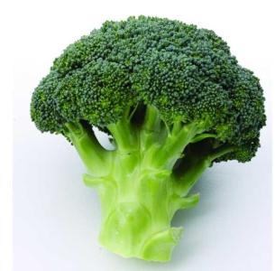 花菜种子的繁殖方式