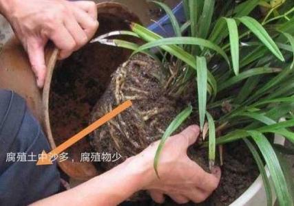 花土反碱用什么管用