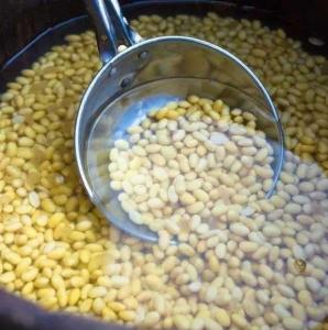 泡黄豆水能直接浇花吗