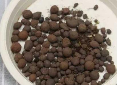 陶粒可以代替土养花吗