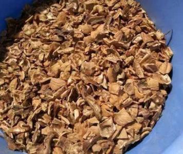 碎纸屑可以和土混合养花吗
