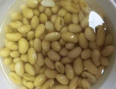 豆子泡水发酵浇花