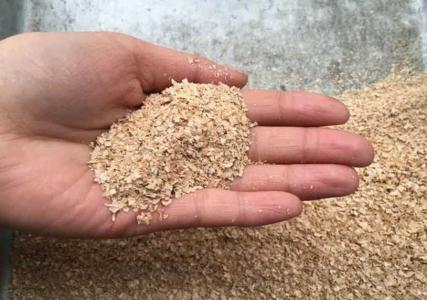 小麦皮可以养花吗
