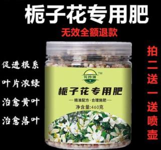 栀子花专用肥料