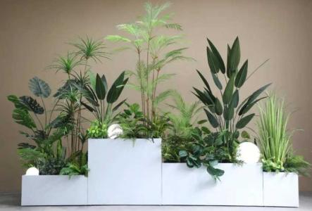 花箱绿植搭配