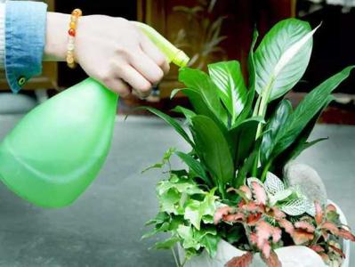 软水能养鱼和浇花吗