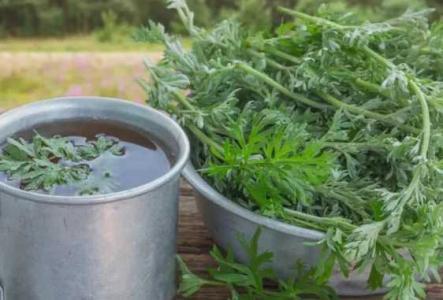 艾草泡脚水可以浇花吗