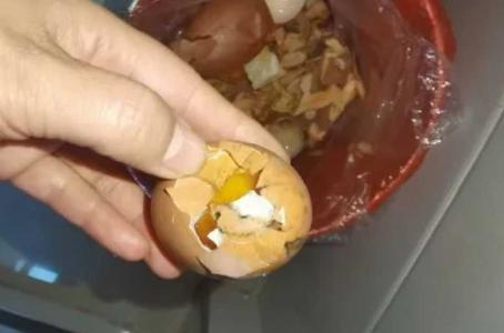 坏鸡蛋怎么处理养花