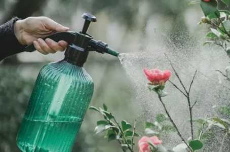 接雨水浇花跟直接淋雨一样吗