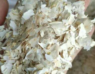 鸡蛋皮做什么花的肥料