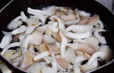 泡蘑菇墩水可以浇花吗