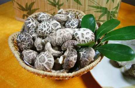 花菇怎么种出来的